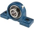2-Bolt Pillow Block, 222mm, Cast Iron